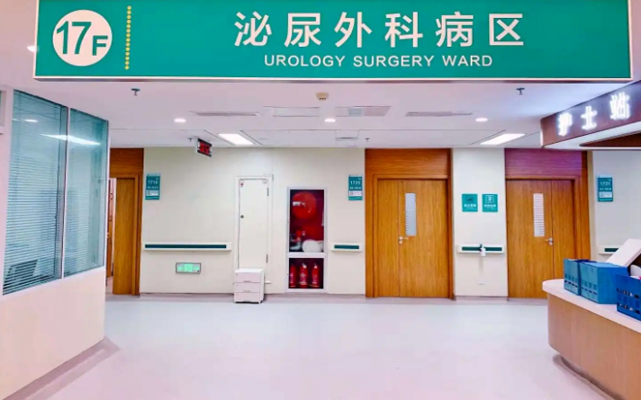 如何選一款好木門？這4點很重要，不懂的建議看看